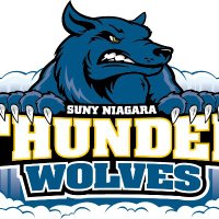 SUNY NIAGARA BASEBALL (@niagaratwolves) 's Twitter Profile
