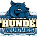 SUNY NIAGARA BASEBALL (@niagaratwolves) Twitter profile photo SUNY NIAGARA BASEBALL (@niagaratwolves) Twitter profile photo