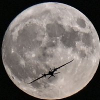 Asil Türk (@turk06asil) 's Twitter Profile