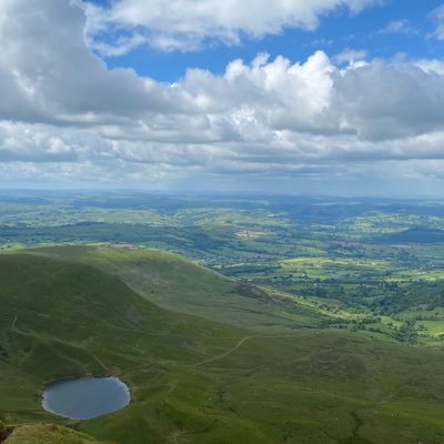 maddynolanx's profile picture. 