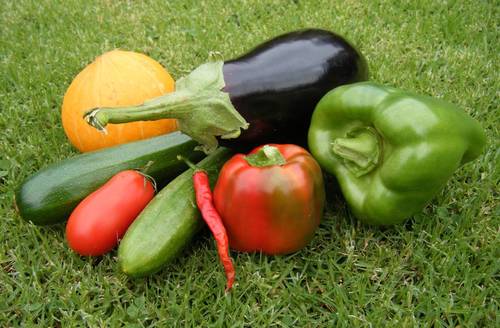 enviromon's profile picture. Growing vegetables, sustainable agriculture, permaculture, organic, green living, creating social change