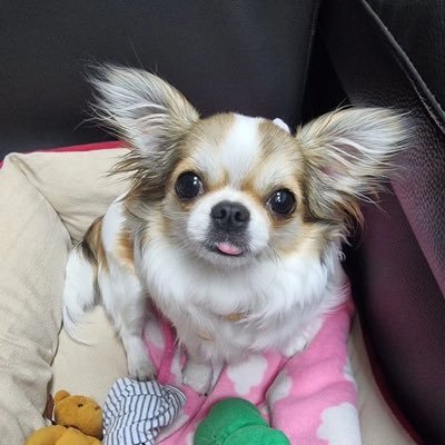 หมาย ˳♡⃣さんのプロフィール画像
