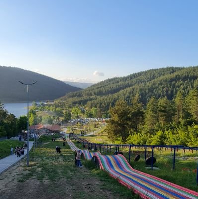 ComartUnal's profile picture. 