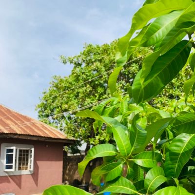 Walker_Knigh's profile picture. Crypto market has always had a strong hold of me….