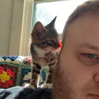 ChapTheSwagsire (@chapshooter16) 's Twitter Profile
