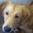 Soledad216's profile image