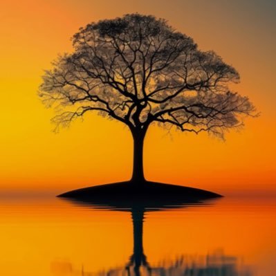 Saraphim_H's profile picture. Evangelist/forex and crypto /