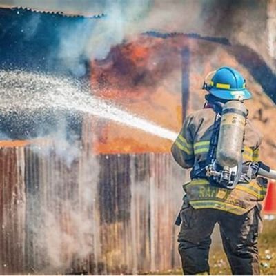 1l_de78146's profile picture. tauro con t de terca