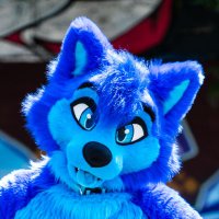 π©΅π Sapphire Husky ππ©΅ (@aoihasukii) 's Twitter Profile