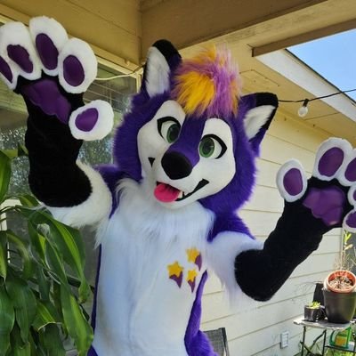 StarburstAD's profile picture. Just a cute femboi husky that loves to have fun~ 💜 | 🔞NSFW 18+ ONLY 🔞 |  Male/25/Pan  |  Also a giant pokemon nerd  🎮