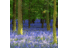 cbrowne5wtd's profile image