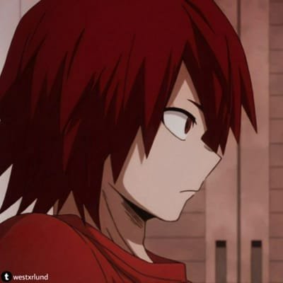 Likes Dragon ball z, My hero academia, Pokèmon, P!nk...ect