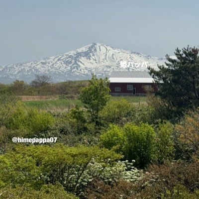 himepappa08's profile picture. 嫁さんが趣味の延長でTikTokに動画投稿をやりだしたので、自分は趣味はありませんが、なんとなくXを始めた2児パパです