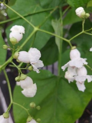 hollylight62's profile picture. 