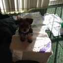 aaron alba - @BiiGdAddyAaRoN - Twitter