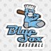 OPS Bluesox 17u (@17uopssox) Twitter profile photo OPS Bluesox 17u (@17uopssox) Twitter profile photo