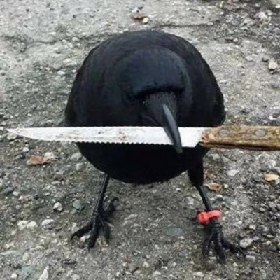 SKlasen30850's profile picture. $MMTLP $ZACK