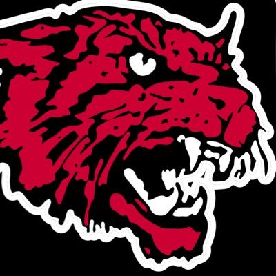 Kirbyville Wildcats and Ladycats Athletics UIL Class 3A