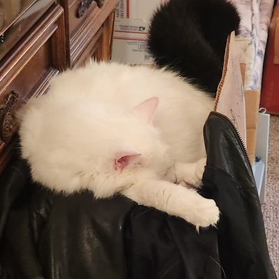❤Angel Willy❤my Angel Pals❤ Profile
