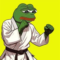 Karate Pepe (@karate_pepe) 's Twitter Profile
