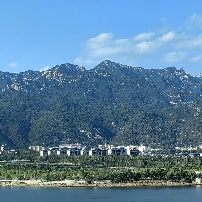 a11666555's profile picture. 