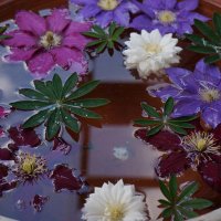 中村真由美 (@akariya420) Twitter profile photo