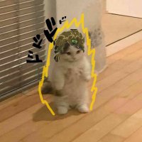 Dio gatinho (@dio_gatinho) 's Twitter Profile