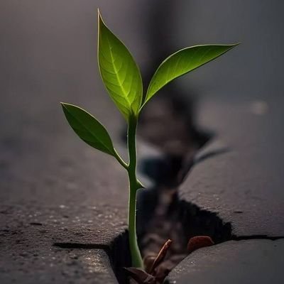 gopabandhu_odia's profile picture. 