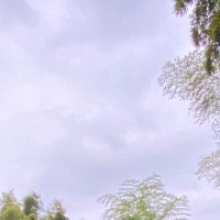 ゆら (@yura_454) Twitter profile photo