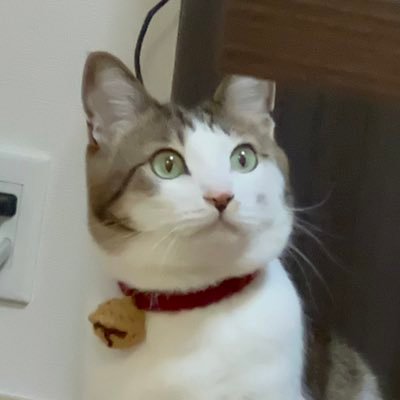 112_NsReha's profile picture. 112回 3年目🍆 美容看護師になりたい