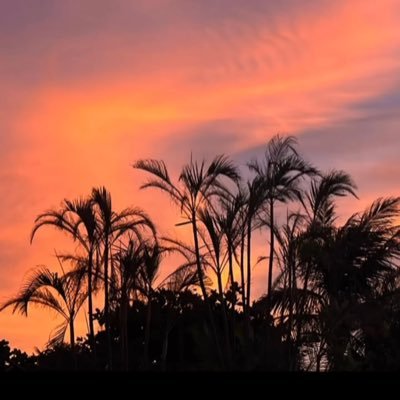 iwadatemisa's profile picture. 顔が派手な美容サロンを営むLPデザイナー🧑‍🎨🎨🩷 LP/バナー/チラシ•メニュー美容系実績多数🎀