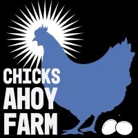 Chicks Ahoy Farm (@chicksahoyfarm) 's Twitter Profile Photo