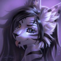 Shine ✨ (@shinefentiger) 's Twitter Profile