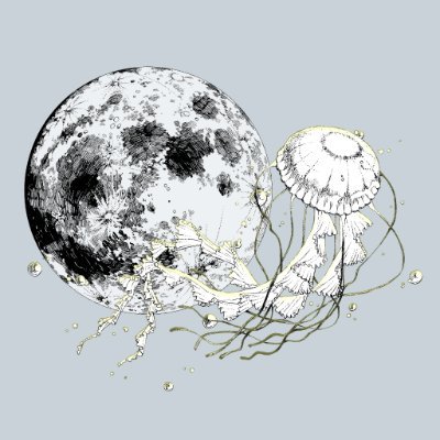 kanamar26's profile picture. 所属:KIT TRPGサークル　BusStop