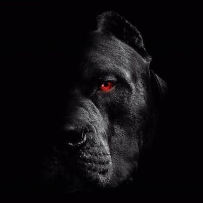 kunalnss30's profile picture. उतरे मुझ में आदियोगी 🌺🌙🚩