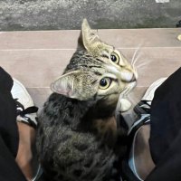 yuhuuuu (@mx_c63) 's Twitter Profile