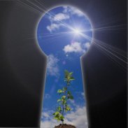 Nairda6666's profile picture. 