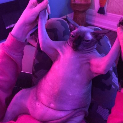 ooflmao2's profile picture. 