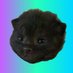 $Itty CTO (@ittycto) Twitter profile photo $Itty CTO (@ittycto) Twitter profile photo