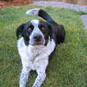 Tara Cody - @IndiRingo - Twitter