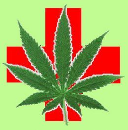 The Official Medical Marijuana Twitter