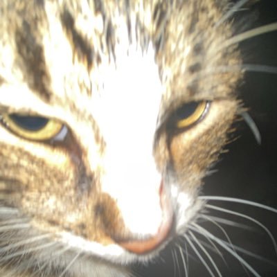 kaylawh05750982's profile picture. dw'gh4e