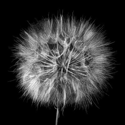 Manojekat's profile picture. 