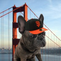trev (@bayareatrev) 's Twitter Profile Photo trev (@bayareatrev) 's Twitter Profile Photo