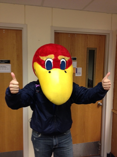 Dlcohen59's profile picture. 