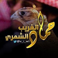 حماد الغريب الشمري (@v_i_w1) 's Twitter Profile
