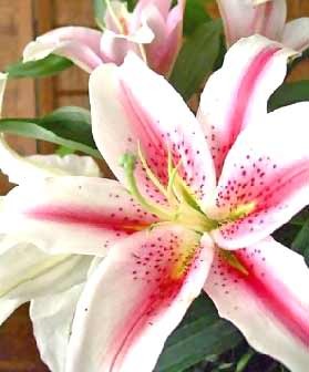 PittsburgFynest's profile picture. Servant Of God/Wife/Mom *Live*Laugh*Pray ~The Rest is Up To GOD~