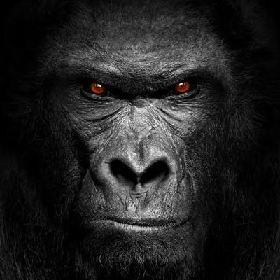 b1uesa11mighty's profile picture. 単身赴任生活が終わった家庭連合職員
家系と二郎系 LOVE
｜信教の自由｜愛国｜
｜筋肉┃育メン┃ラグビー┃
┃スパイ防止法で日本を守る！┃

妻（愛され妻のつぶやき）
@2seiloveforever