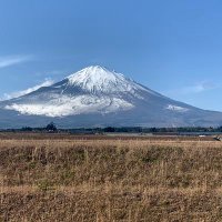 ミチモト (@michimo0038) 's Twitter Profile