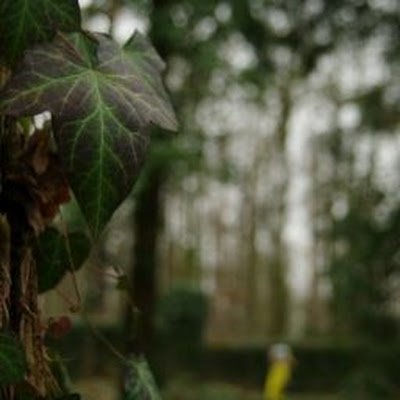 DariaSpurn70428's profile picture. 